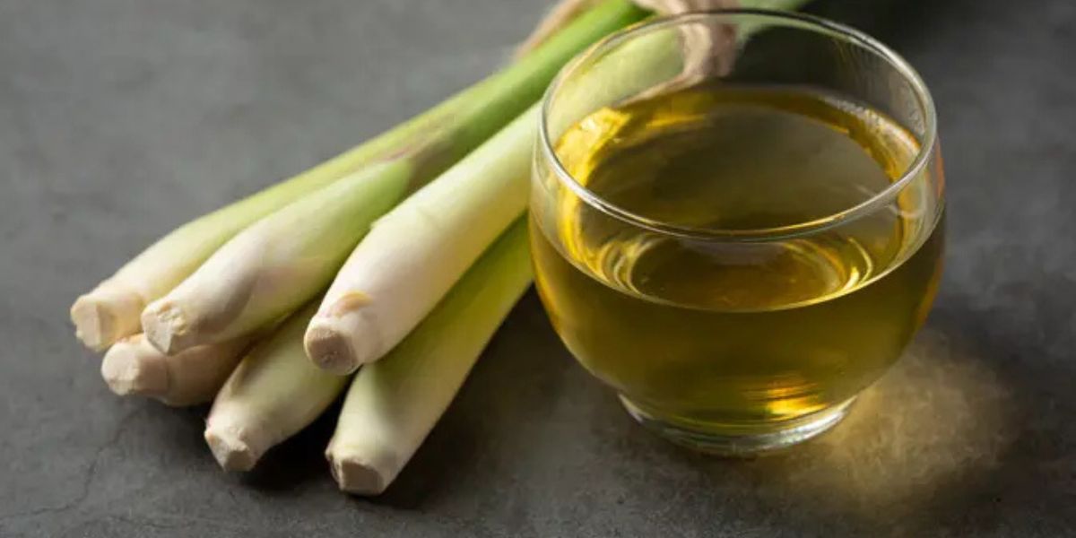 Gout Pain? Try Lemongrass and Bay Leaf Remedy for Effective Results