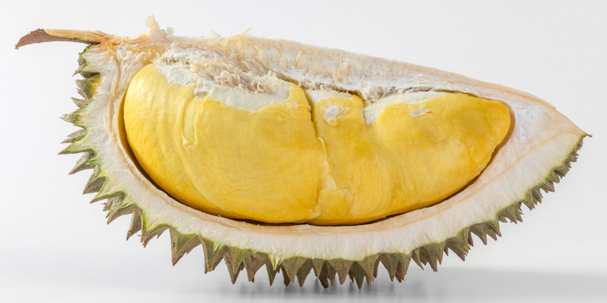 Smart Guide to Choosing Durian, Easily Find the Ripe and Sweet One!