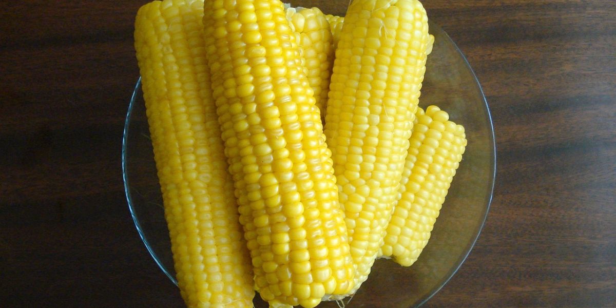 Guide to Boiling Sweet Corn for Jasuke, Simple and Delicious