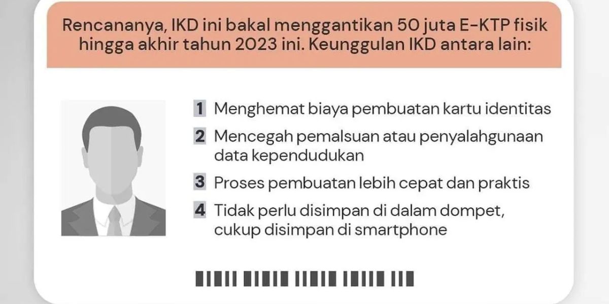 The Role of IKD, Facilitating Public Access to Government and Non-Government Services