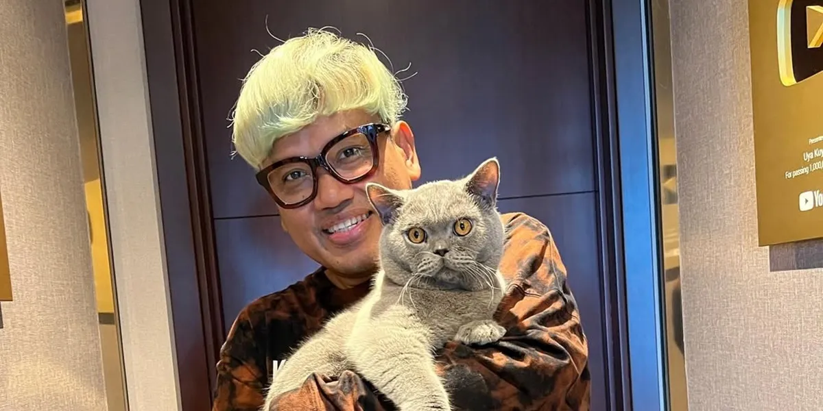 Portrait of Uya Kuya's Cats That Have Been Returned by Sherina