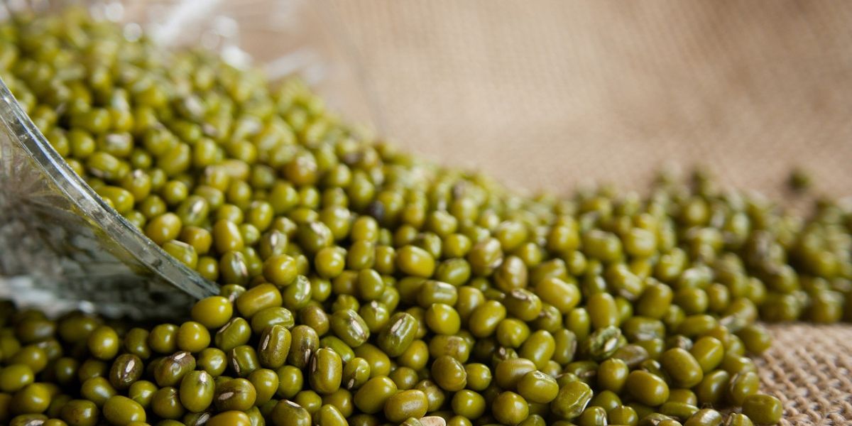 Contains Folate Needed by the Fetus, Here's How to Boil Mung Bean Water for Pregnant Mothers