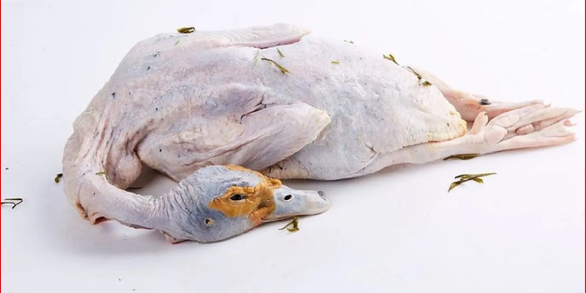 The Secret to Cooking Duck Without a Fishy Smell, Here's the Practical Way