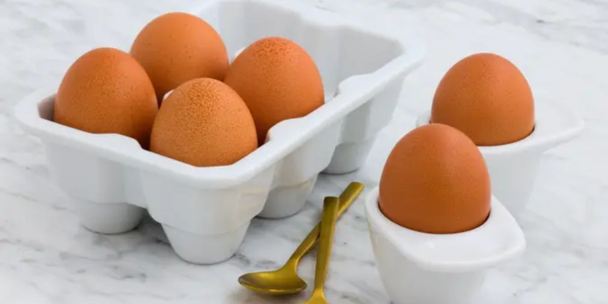 Secrets to Cooking Eggs, Gaining Weight in a Healthy and Delicious Way!