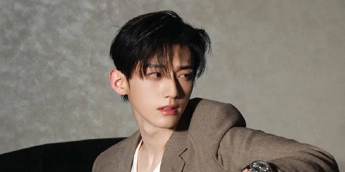 Recommendations for Chinese Dramas Starring Lai Wei Ming, Latest SHINE ON ME