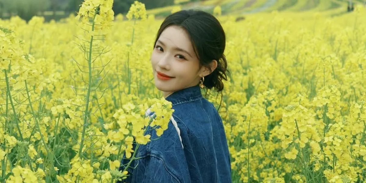 Recommendations for Chinese Dramas Starring Lin Yun, Including A DREAM OF SPLENDOR