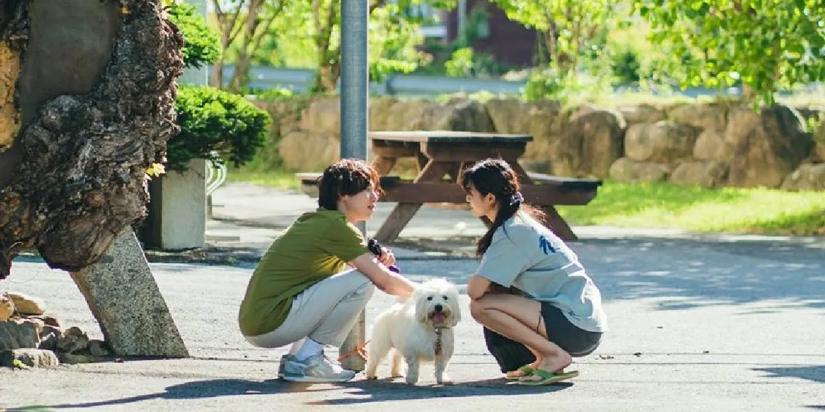 Recommendations for Romantic K-Dramas Set in a Tranquil Countryside, Perfect for Healing!