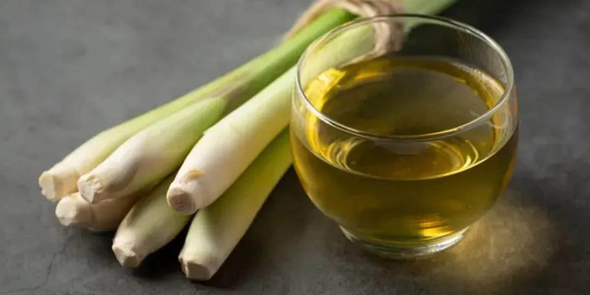 Lemongrass Drink Recipe, A Natural Beverage That Effectively Lowers Cholesterol