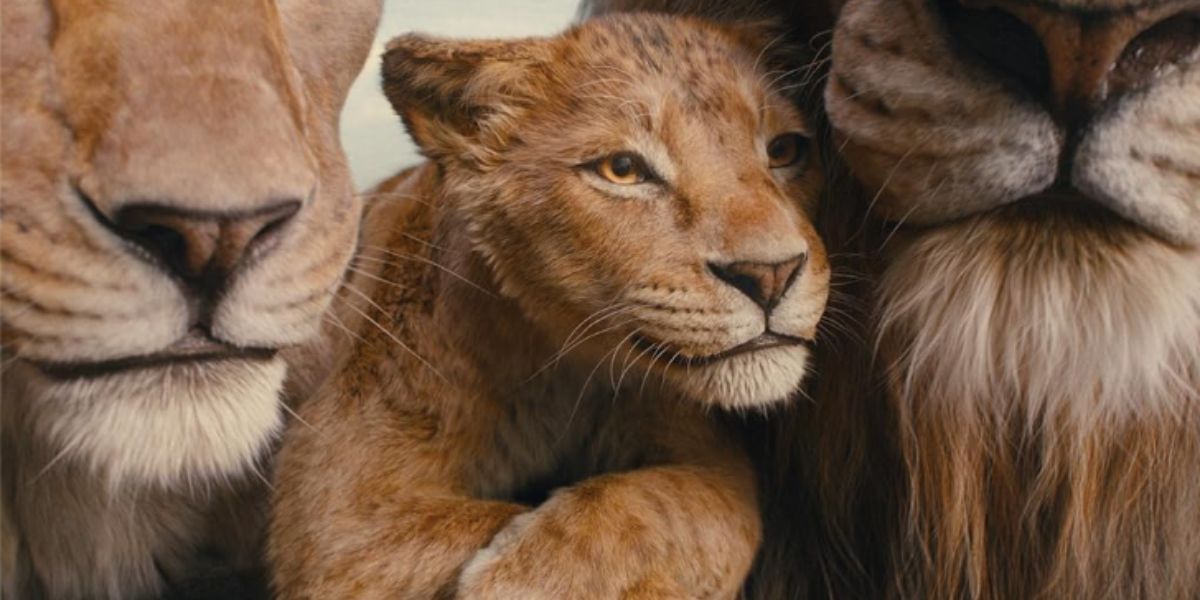 Film Review 'MUFASA: THE LION KING', A Big Victory for Scar the Legendary Antagonist