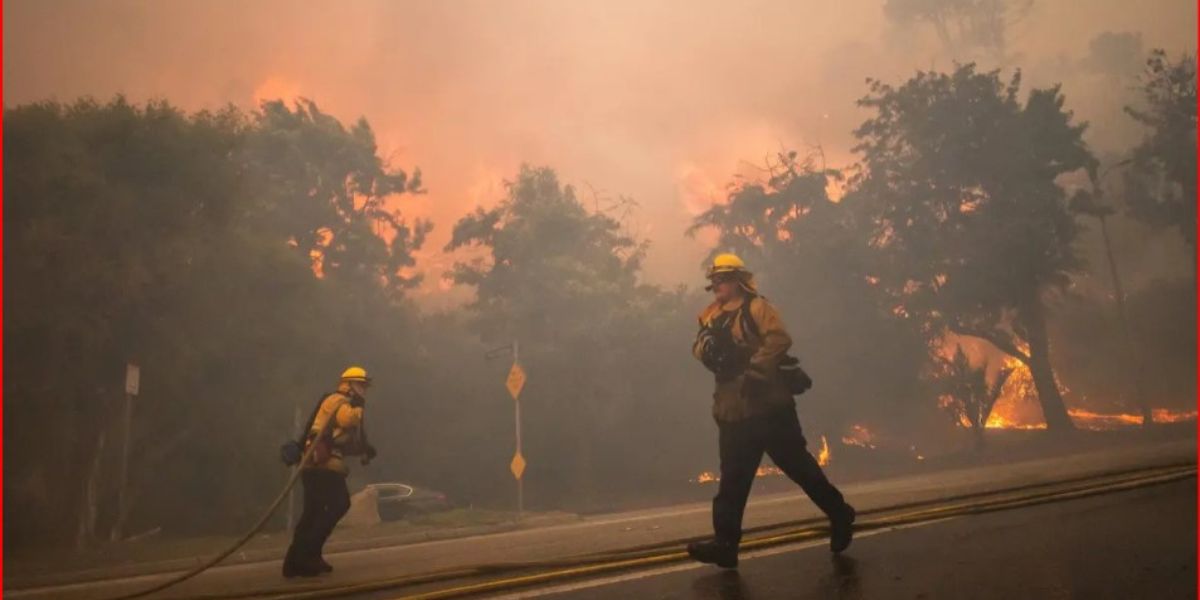 House Burned Down Due to Forest Fire, James Wood Reveals Deep Sadness