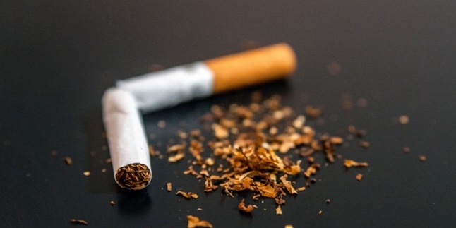 8 Rarely Known Benefits of Tobacco for Health, Not Just Raw Material for Cigarettes