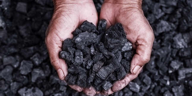 Often Underestimated, Here Are 5 Benefits of Charcoal for Health and Body Beauty