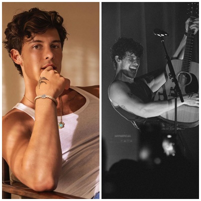 Shawn Mendes Reveals Sexual Identity, Here’s His Confession During the Concert