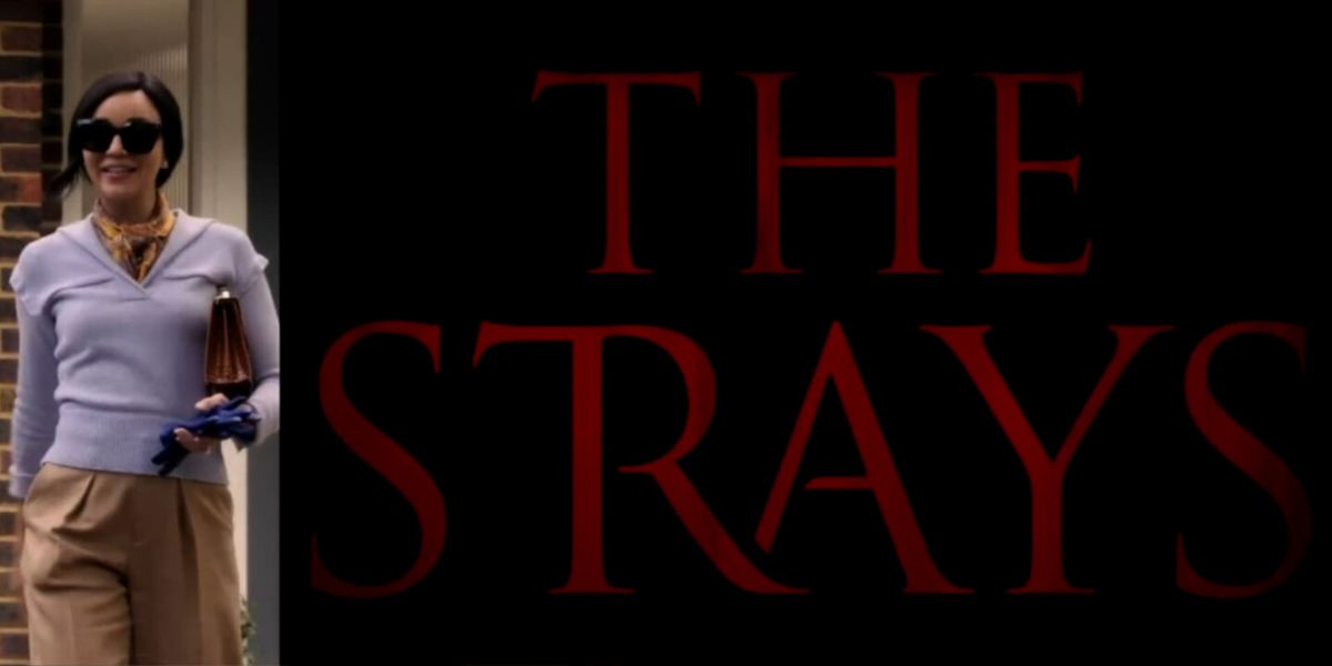 Sinopsis Film 'THE STRAYS', Film Original Netflix yang Bergenre Drama Thriller.