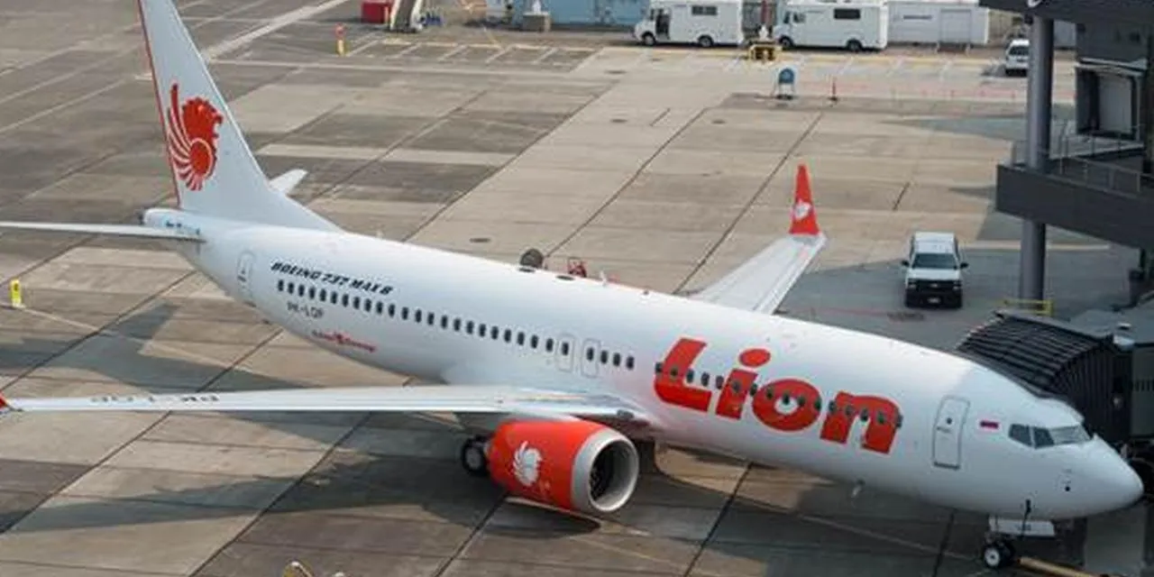 Sinyal Black Box Lion Air JT 610 Ditemukan, Ini 4 Faktanya