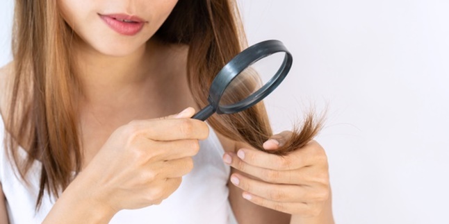 No Need to Cut, Here are 6 Natural Ways to Deal with Split Ends