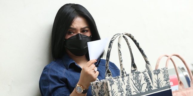 Defendant Distributor of Pornographic Videos Involving Syahrini's Name Faces 8 Years in Prison