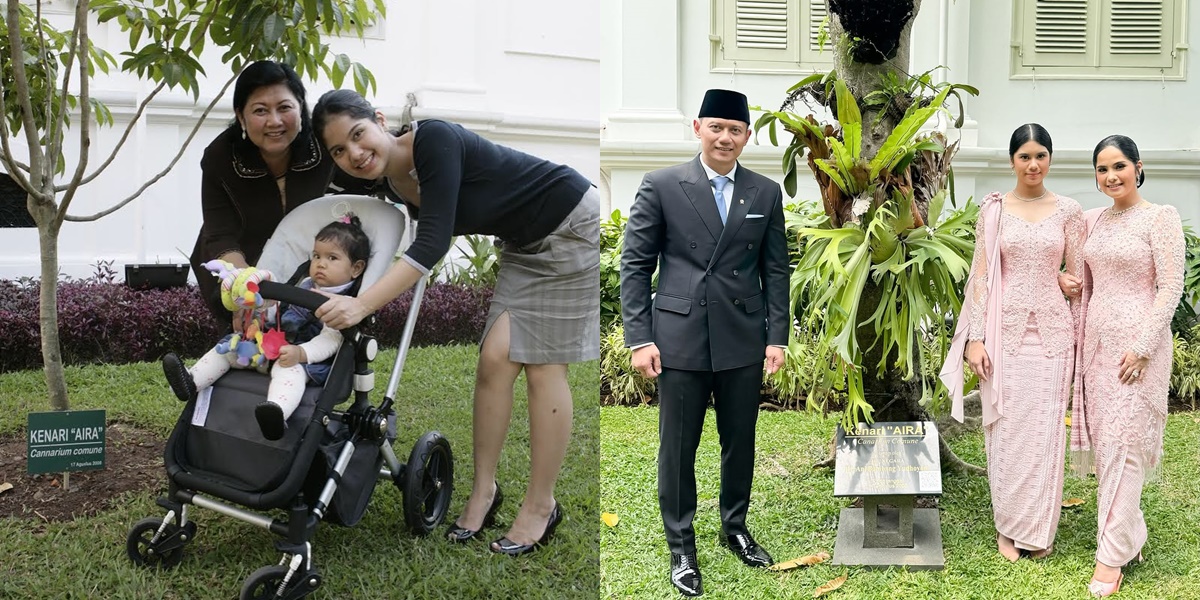 Unveiling the Story Behind Ani Yudhoyono Planting a Walnut Tree for Her Grandchild, Making Annisa Pohan and Her Child Cry