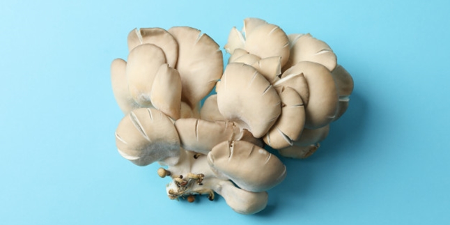 9 Benefits of Oyster Mushrooms for Body Health, Along with their Nutritional Content