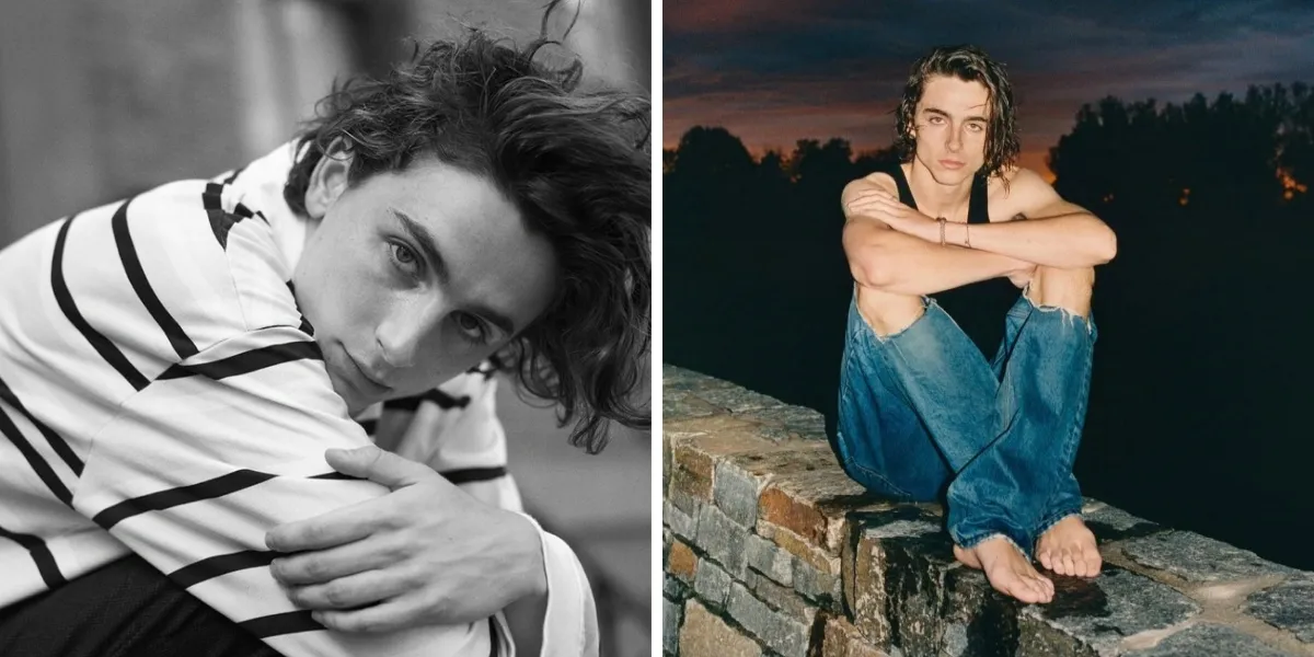 Timothée Chalamet Opens Up About Why He Failed to Get Roles in the Movies 'DIVERGENT' and 'MAZE RUNNER'
