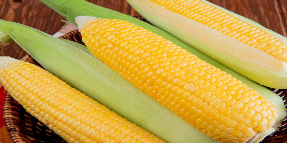 Tips for Boiling Corn So It Doesn't Wrinkle, Delicious and Helps Regulate Sleep Cycles and Cholesterol