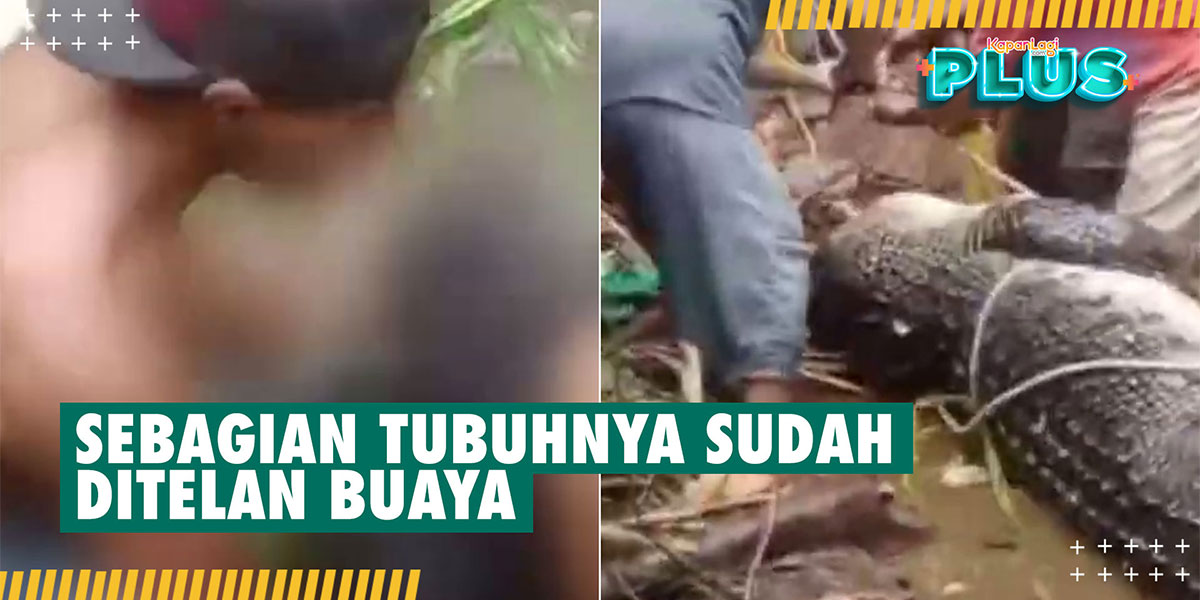 Tragic! While Searching for Snails in the River, a Woman Was Attacked by a Crocodile