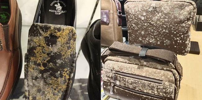 Viral, 9 Photos of Moldy Branded Goods in Malls Due to Lockdown of the Corona Covid-19 Pandemic