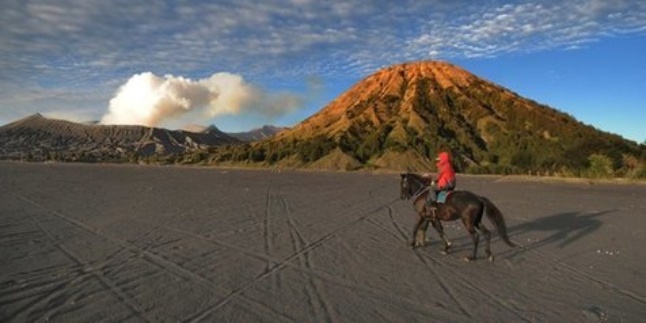 Tourist Missing in Mount Bromo Found Safe, SAR Team Evacuates Victims in Steep Valley