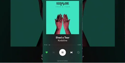 Kodaline - Shed A Tear dan Terjemahan