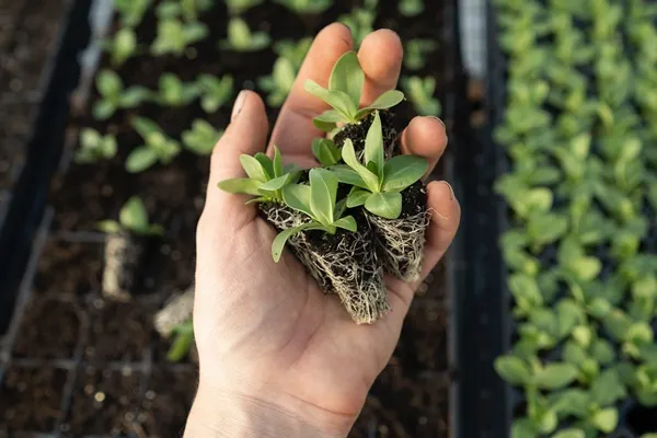 Ilustrasi (Credit: Unsplash)