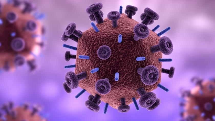 Virus HIV, virus yang menyerang kekebalan tubuh dan dapat bertahan hingga 11 tahun dalam tubuh manusia © Medical Daily