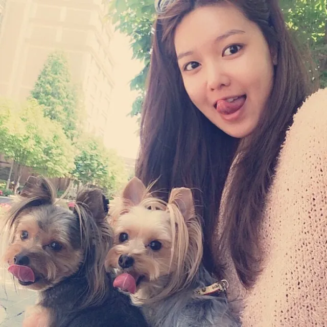 Anjing Sooyoung