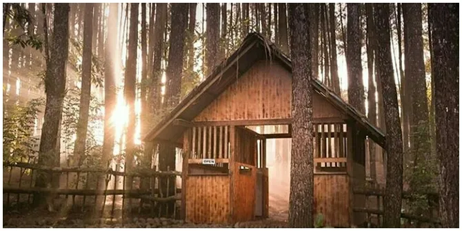 Hutan Pinus Mangunan merupakan destinasi hutan yang terdapat pepohonan tinggi menjulangnyang dikenal dengan nama Pinus Merkusi. 