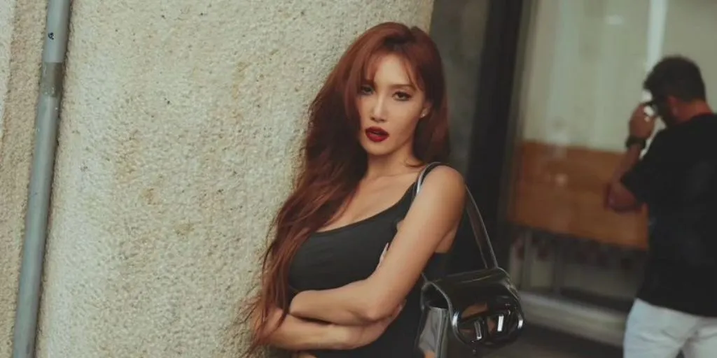 Hwasa - Grey Christmas