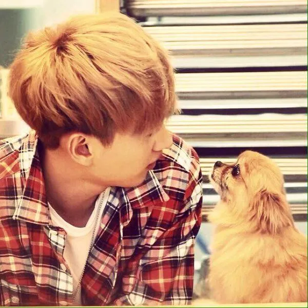 Foto yang diunggah Eunhyuk untuk mengucapkan selamat tinggal kepada choco © twitter/AllRiseSilver