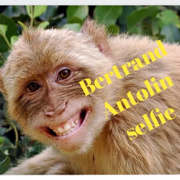 Permintaan maaf Bertrand Antolin kepada netizen/©instagram.com/bertrand1407