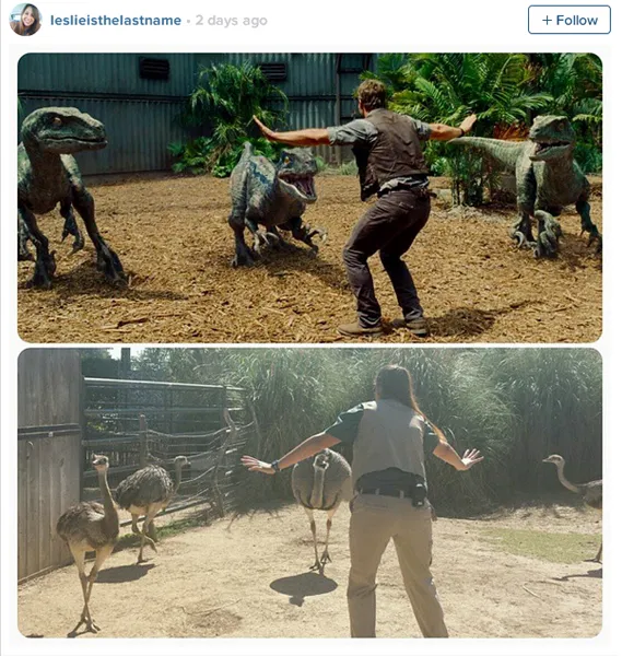 Tenangkan burung onta, zookeeper tangguh ini tirukan pose ikonik Owen Grady/©Cinema Blend