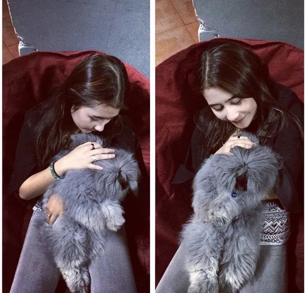Prilly dan kelinci raksasanya/©instagram.com/prillylatuconsina96