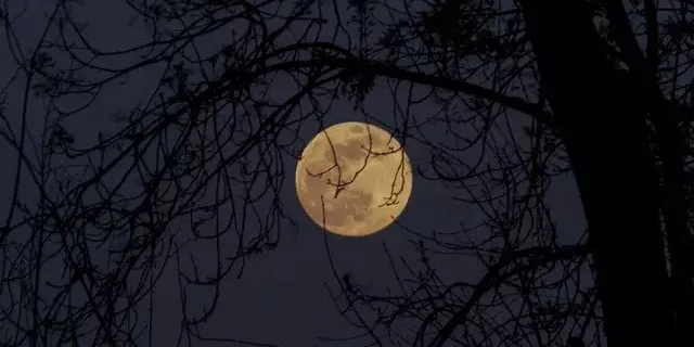 ©Unsplash.com Via Liputan6