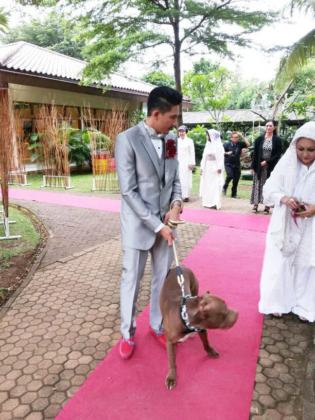Ryan Delon bawa anjingnya. ©KapanLagi.com