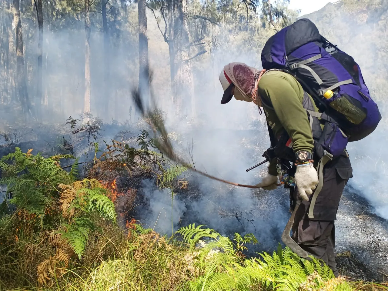 Kebakaran Hutan Gunung Arjuno, BPBD Batu