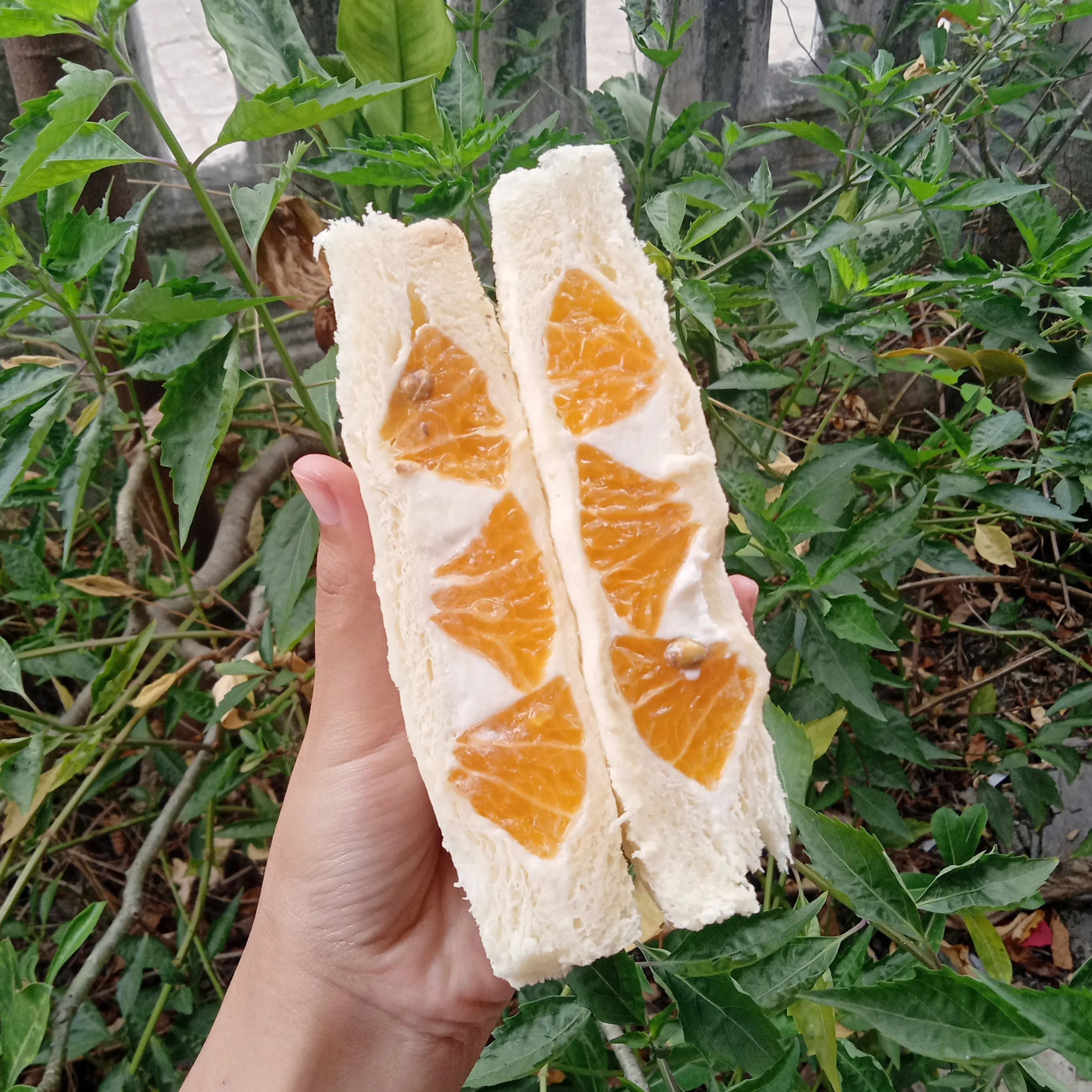 Credit: Manis dan Sedap/Sefruit Sando