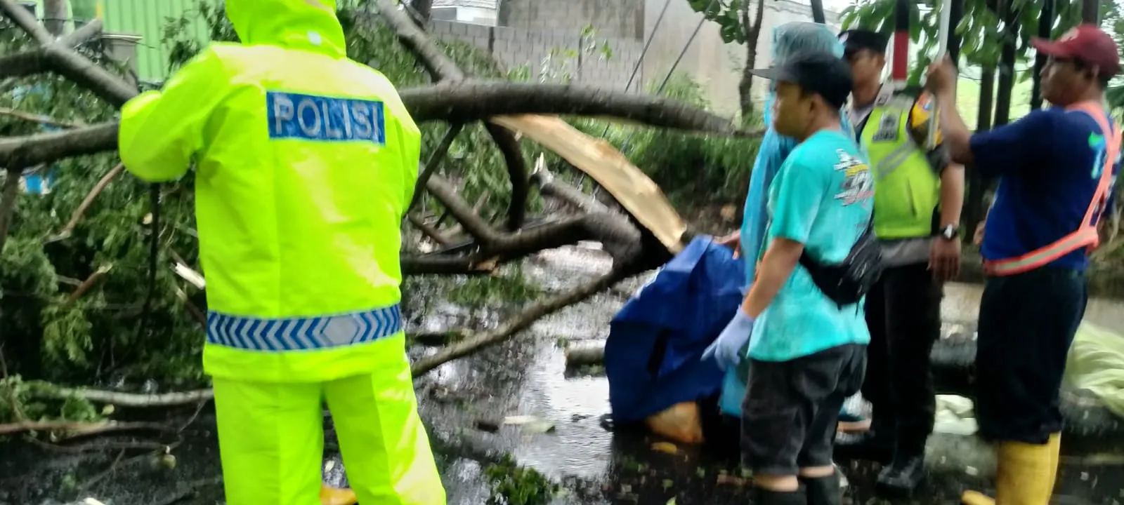 Credit: Darmadi Sasongko © KapanLagi.com