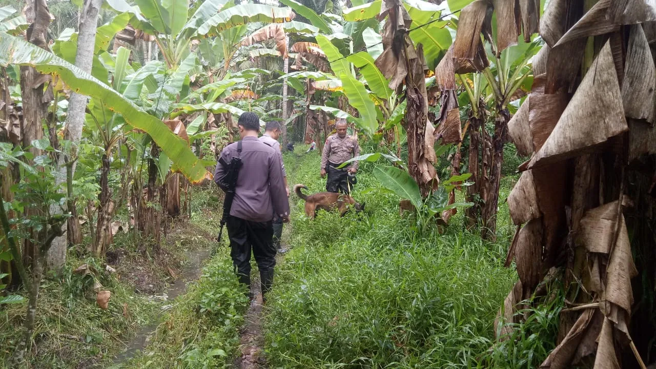 Credit:KapanLagi.com/Darmadi Sasongko