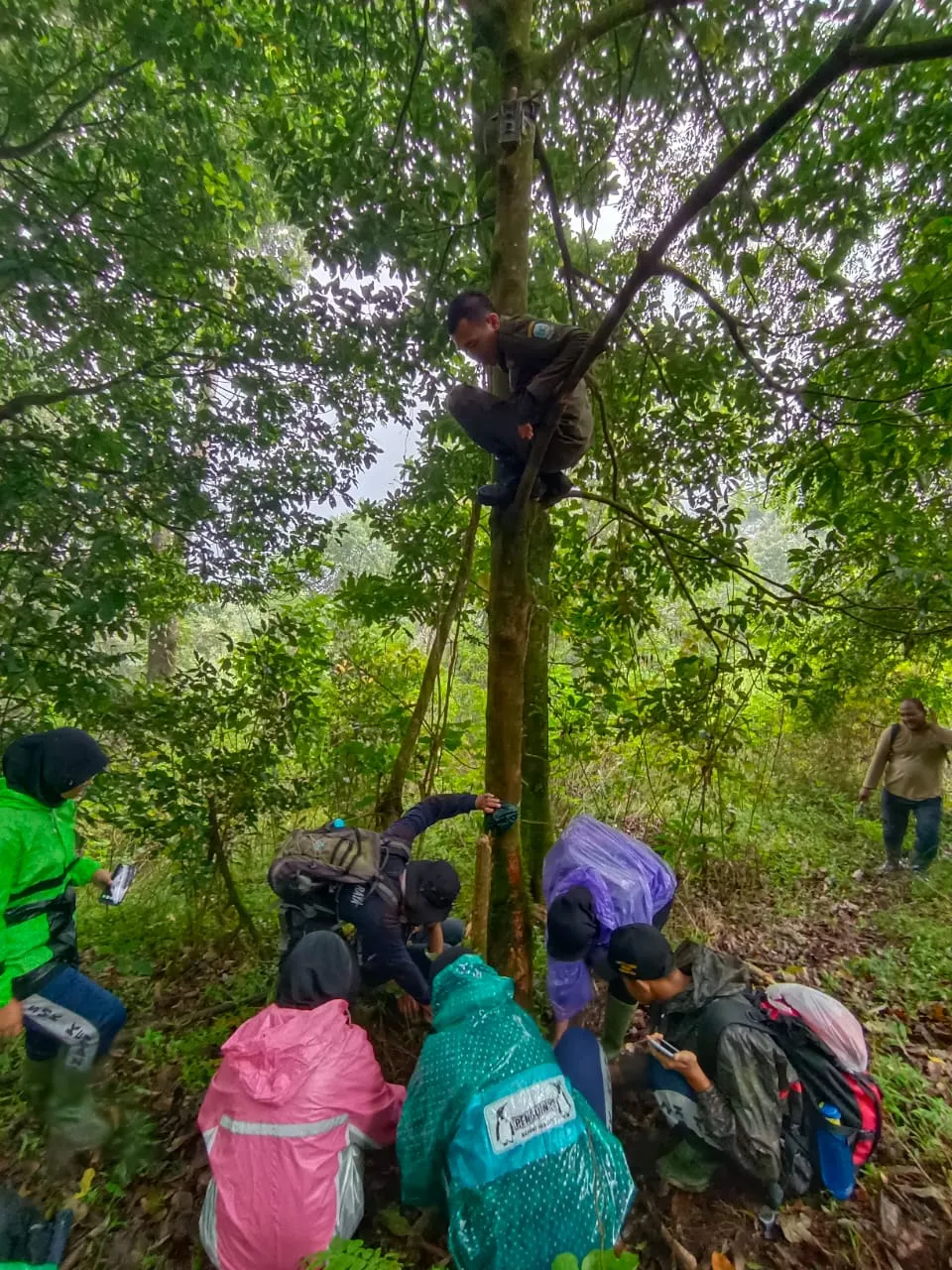 Credit: Darmadi Sasongko