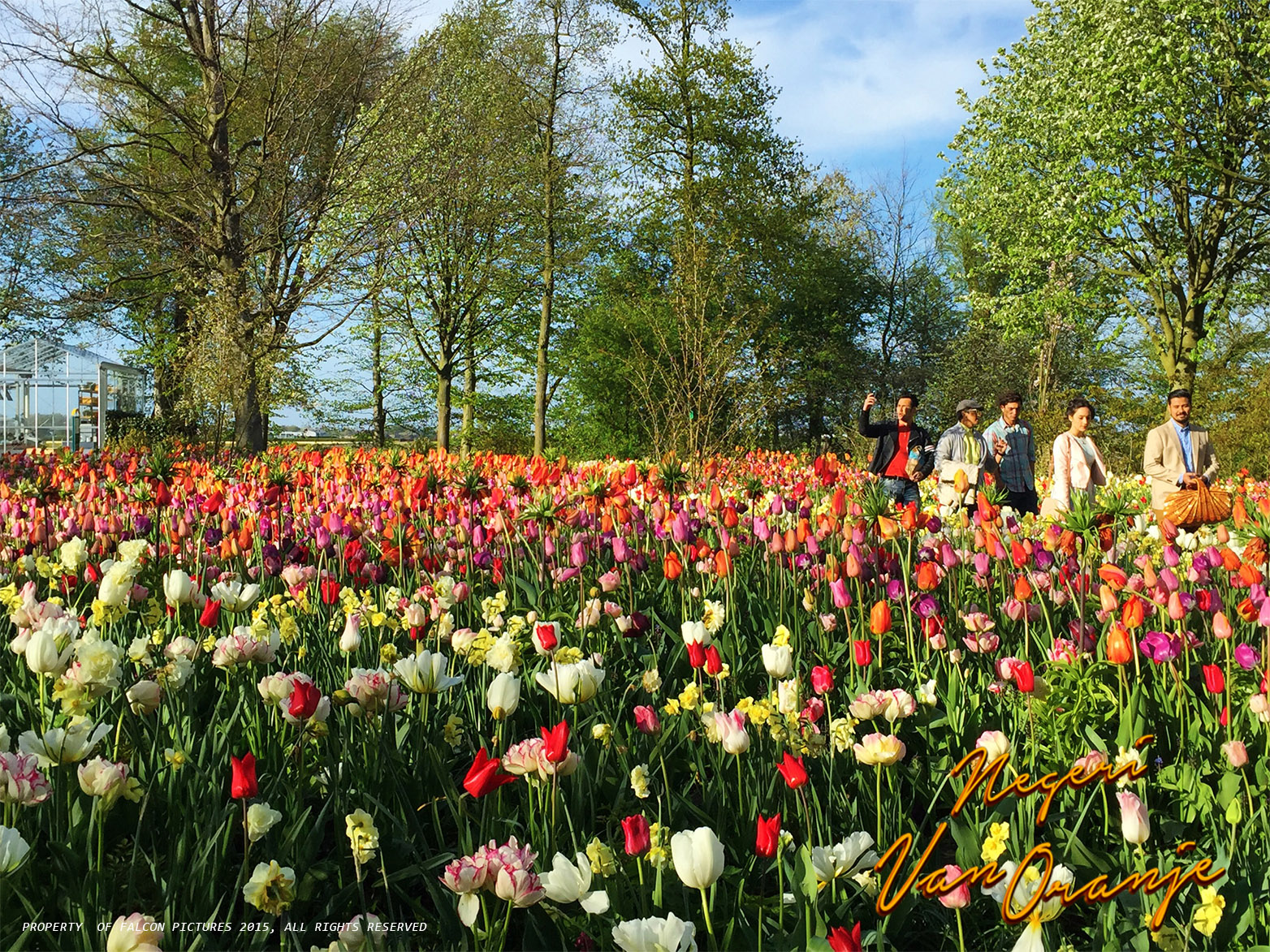 Film NEGERI VAN ORANJE Hadirkan Keindahan Kebun Tulip 