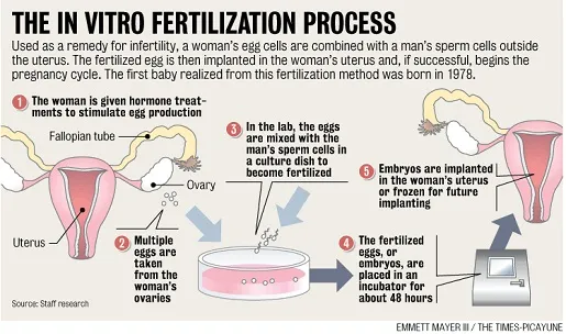Surrogate gestasional sering disebut sebagai bayi tabung dengan menggunakan rahim wanita lain © Fight Your Infertility