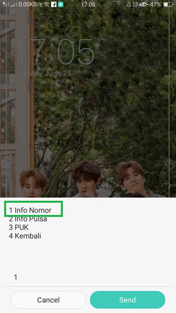 Ilustrasi gambar (Dokumen Pribadi)