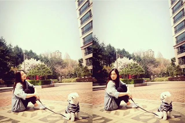 Taeyeon dan sang Prince Fluffy, anjing Tiffany yang sangat lucu mengenakan pakaian anjing. ©instagram/taeyeon_ss