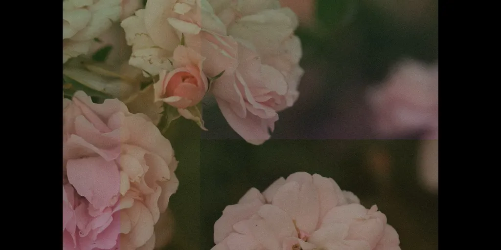 Summer Heart - Insecurities